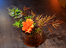 THE VUDE - VELVET UNDERGROUND DINING EXPERIENCE